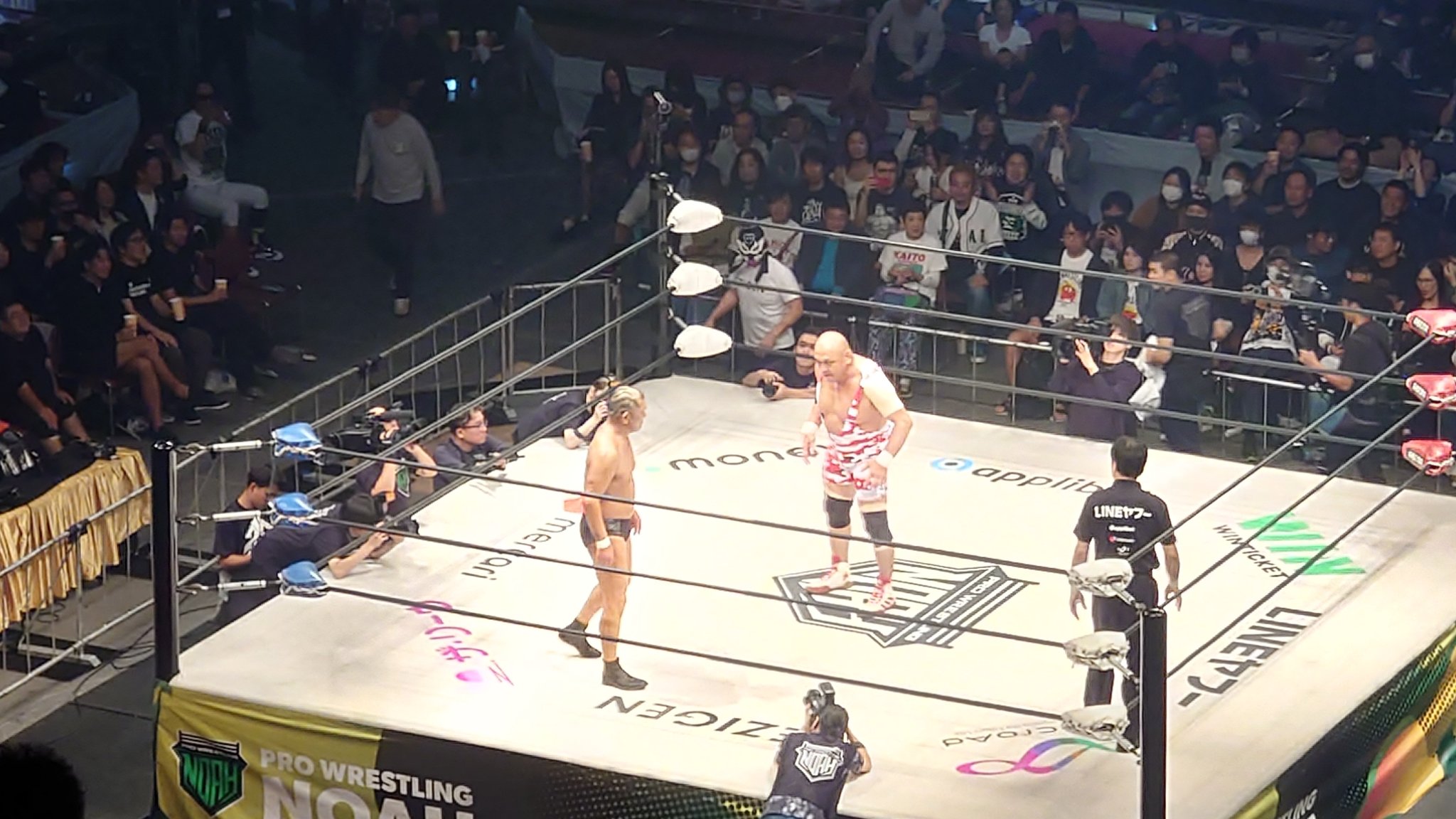 pta】16d 鈴木みのる 白コスチュームverのみ 16dコレクション