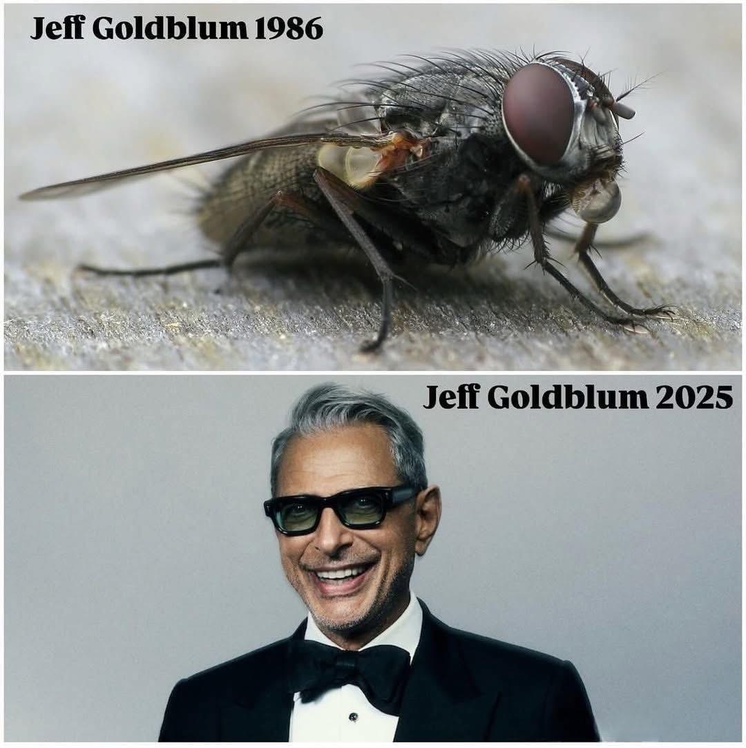 Retro Toys and Cartoons (@toys_retro) on Twitter photo 