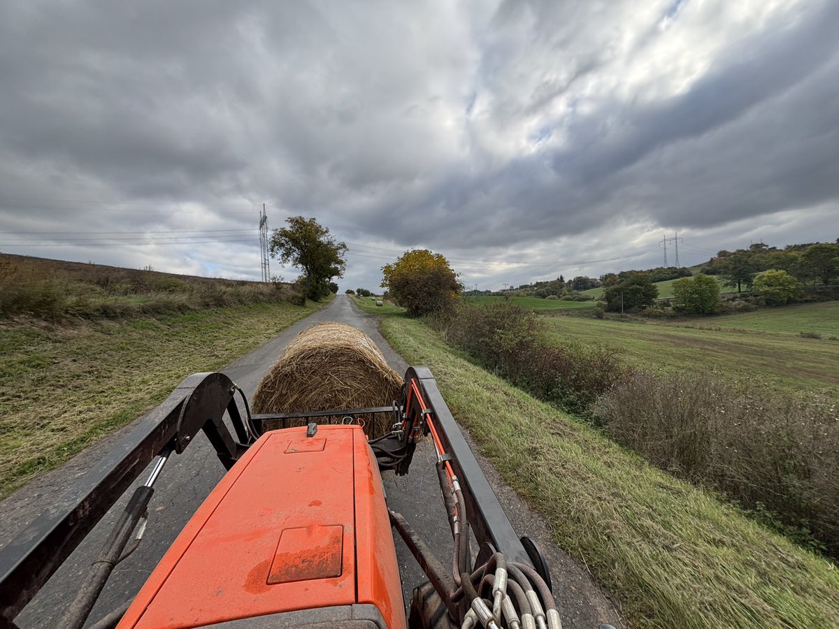 Have a nice weekend ladies and gentlemen!

Farm work here!