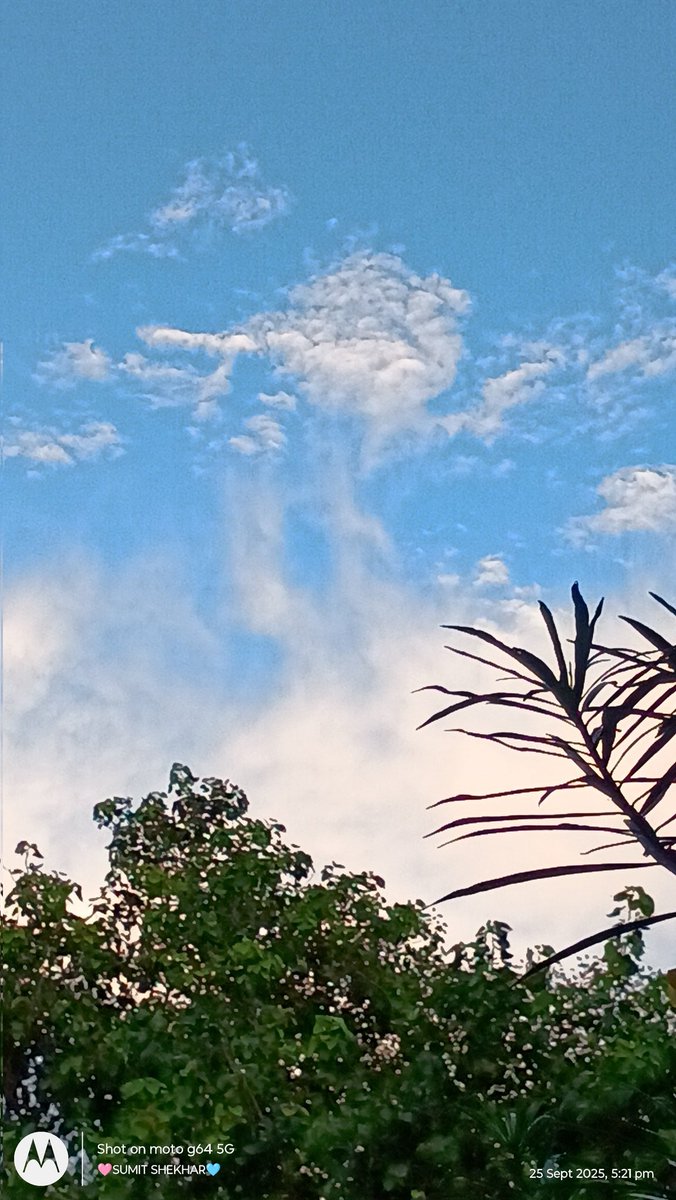 SUMIT_8S7S's tweet image. Good Morning Dear ❤️❤️
Happy Weekend ❤️❤️
#MyClick ✨ 📸 💖