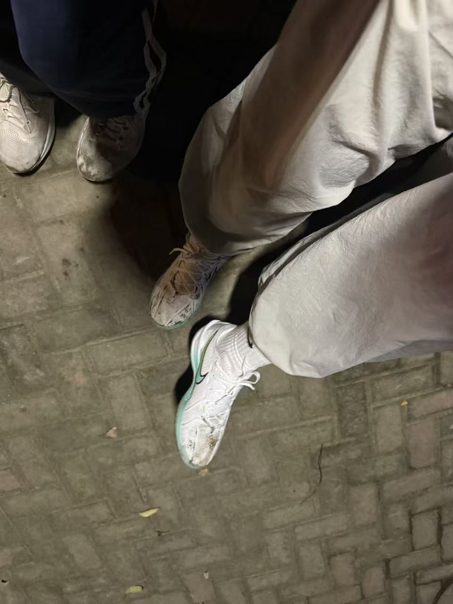pegasus 41 vs gtcut