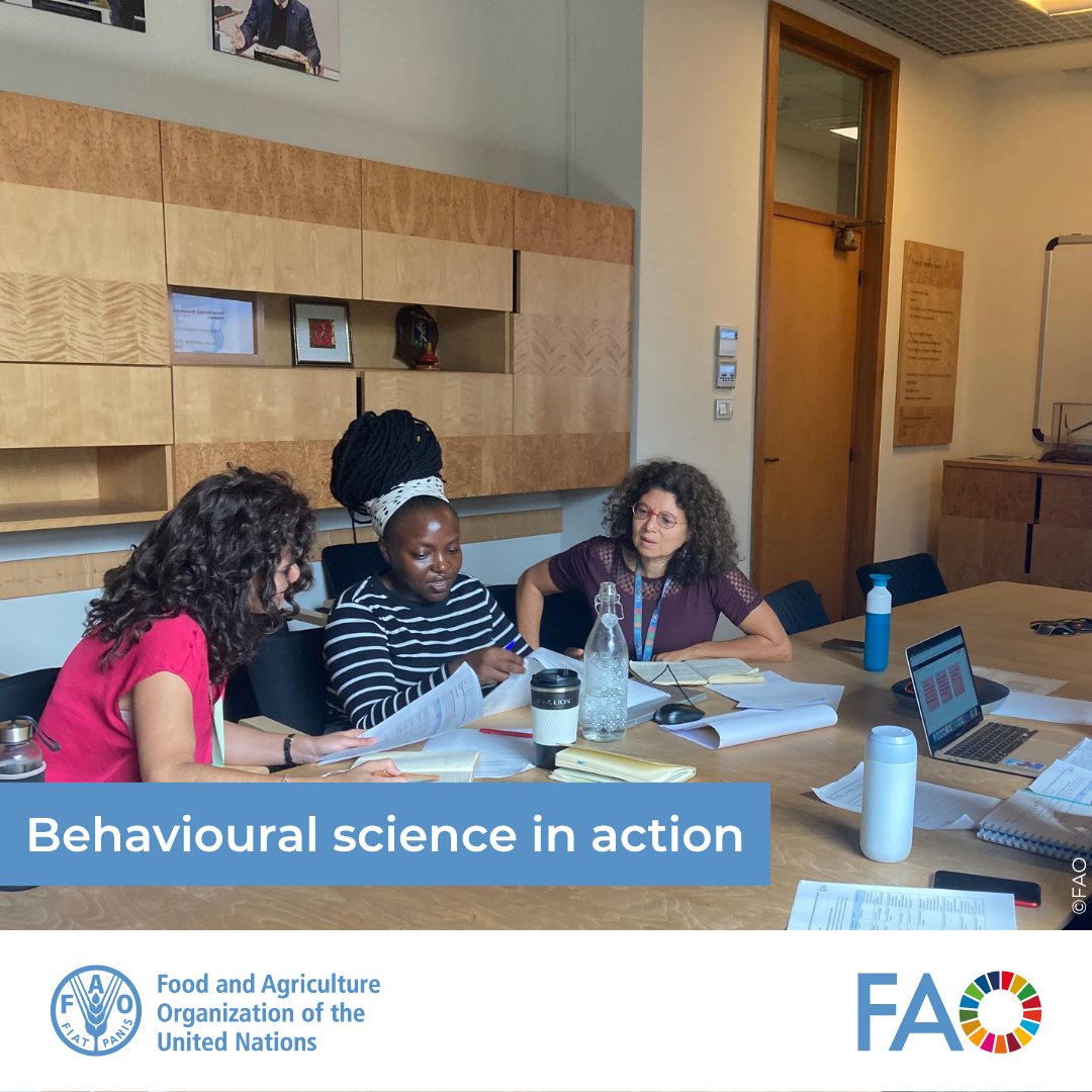 FAO Innovation tweet media