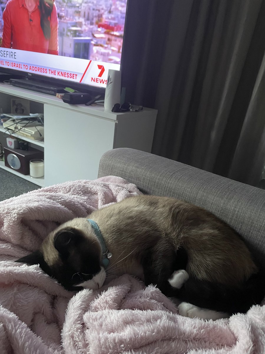 Nicole Lindsell (@nicolelindsell1) on Twitter photo 