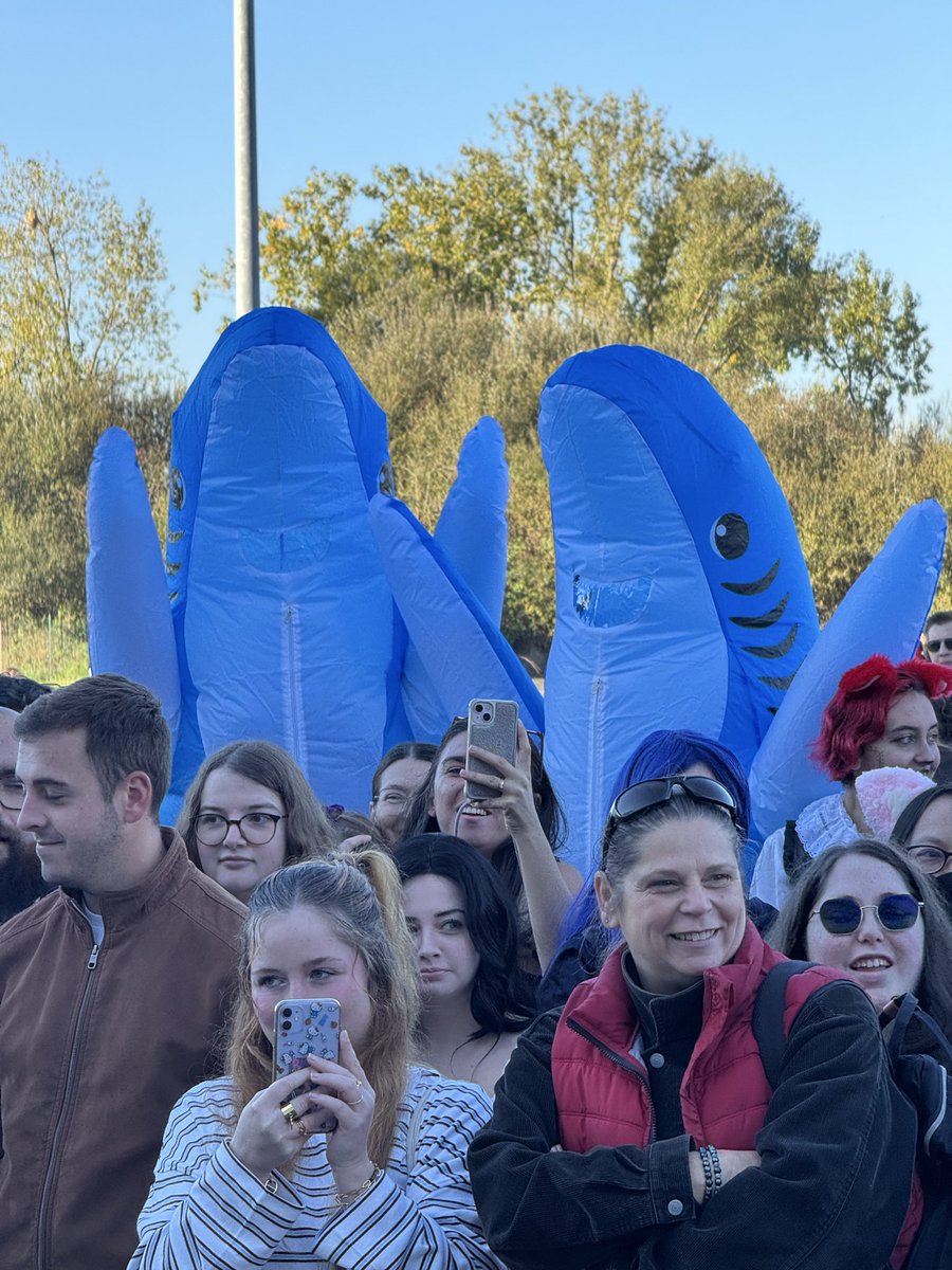 Association Mandora tweet media