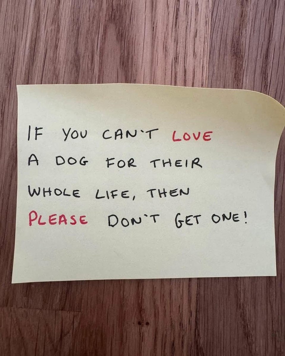 ♡ Phoenix FB Rescue UK ♡ tweet media