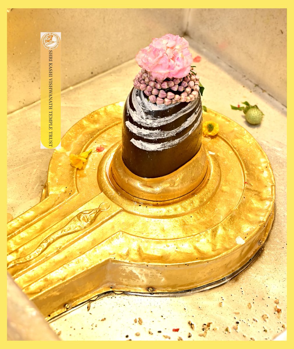 ShriVishwanath's tweet image. श्री काशी विश्वनाथ जी की मध्यान्ह-भोग आरती I
#kashi #darshan #kashivishwanath #VishwanathDham #blessings