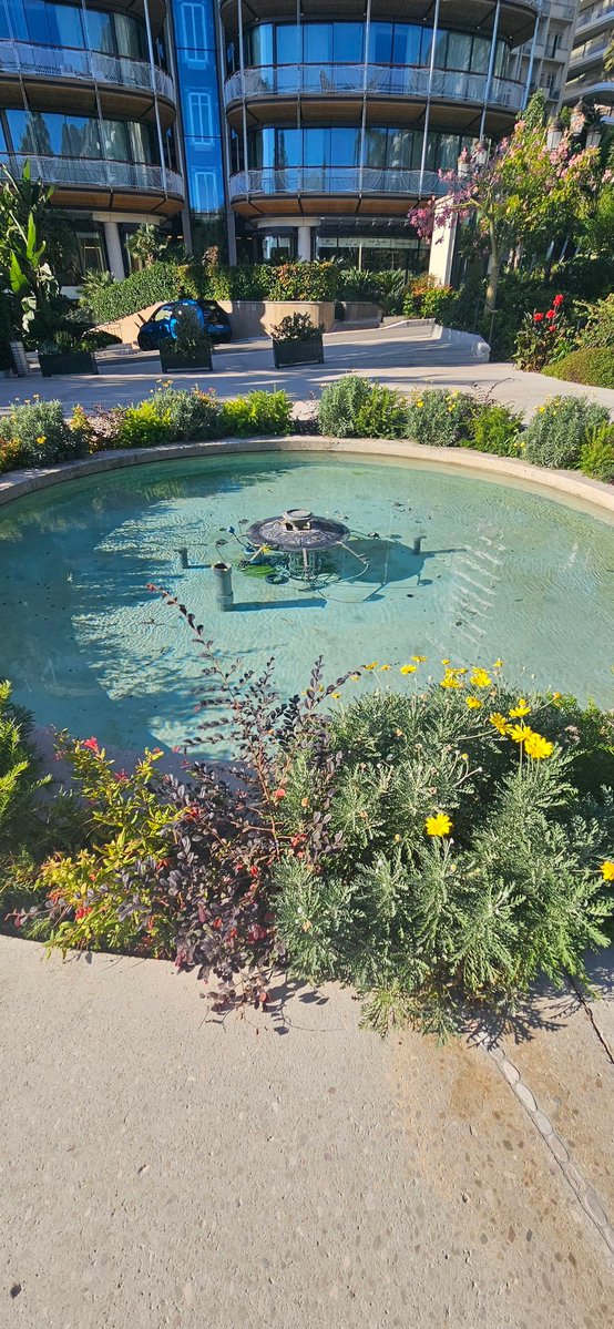 Lemon_dteam's tweet image. #monaco 
1 thing of my bucket list