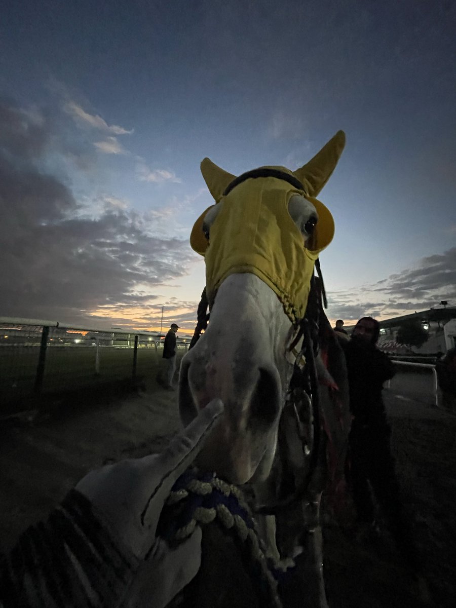 Szercelk's tweet image. Bebiik