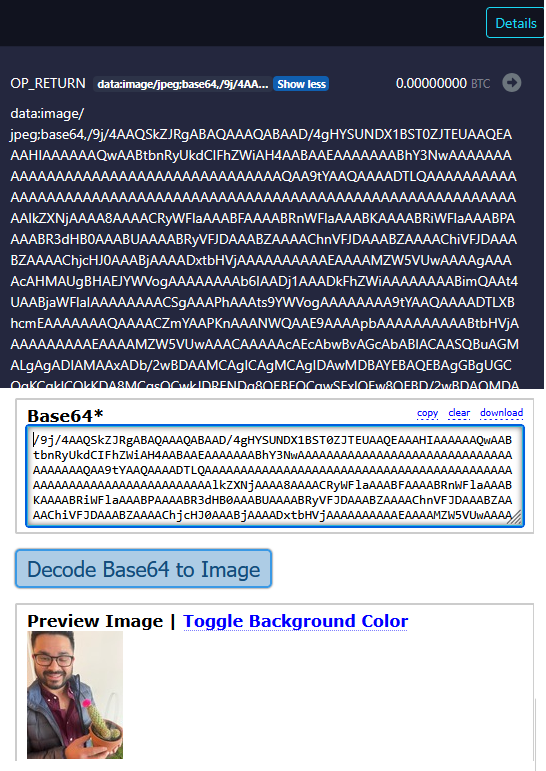 ByteSquatch tweet picture