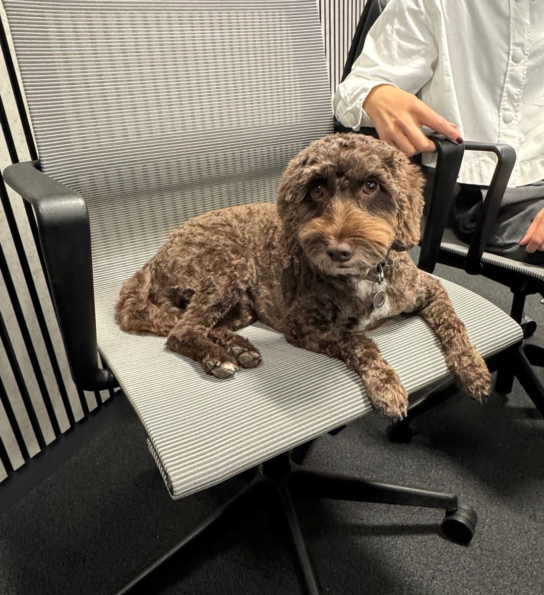 Northwest Football Awards 2026 tweet media