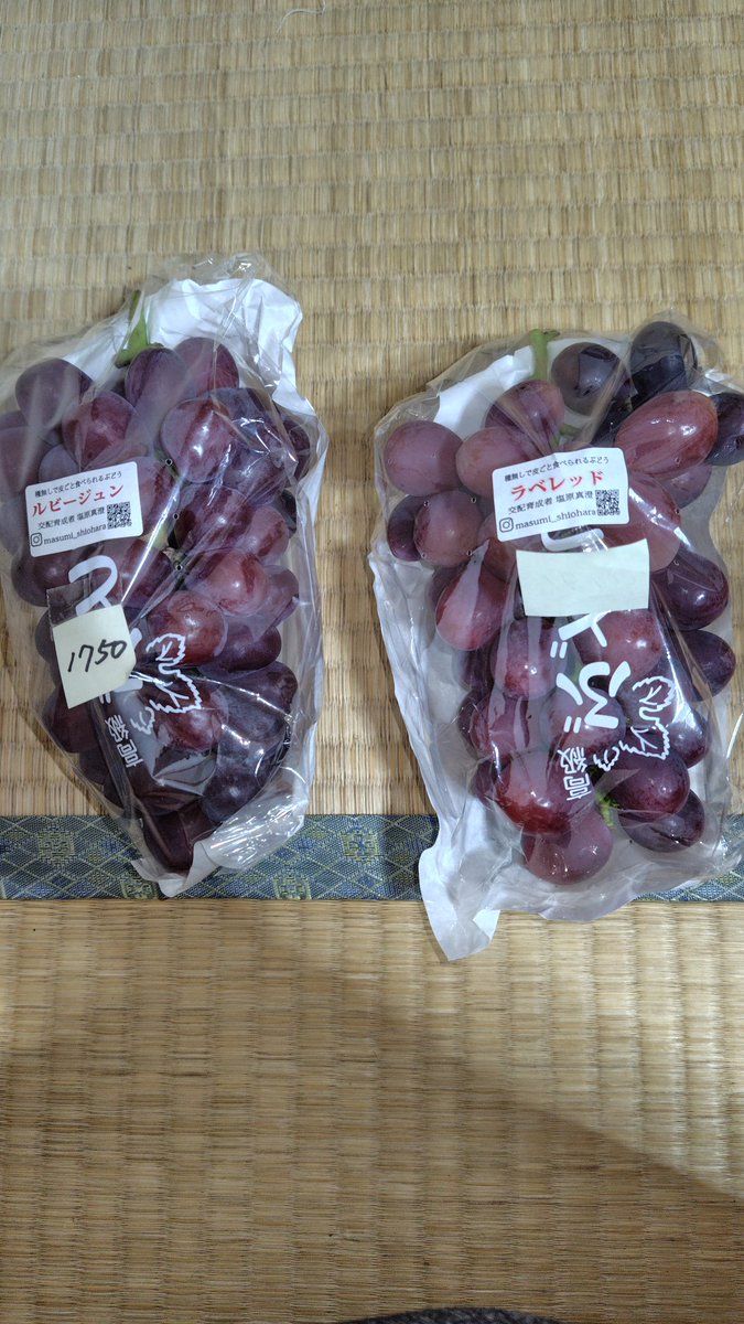 Toropicalboy's tweet photo. 昨日はぶどうを買いすぎました。今週は毎日多品種の食べ比べが出来ます😄 https://t.co/rEIS6SMyEQ