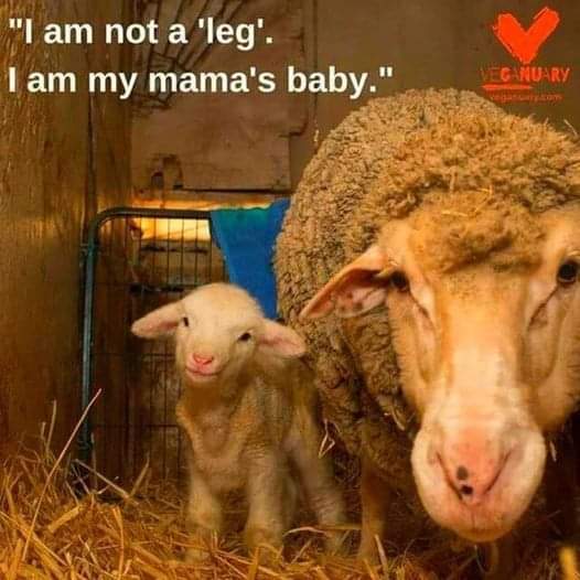 Ellie CG (@elliecg11) on Twitter photo 