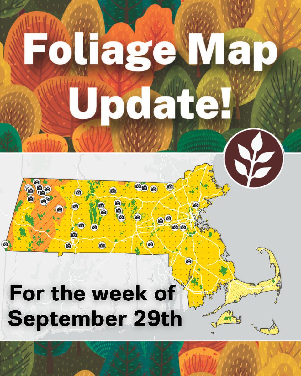 DCR’s interactive Fall Foliage Map is back for the week of September 29th with up-to-date leaf-peeping information! Check out this map updated weekly by our forestry team to see when the leaves at DCR parks across the state will reach their peak this fall  bit.ly/4nBRIwy