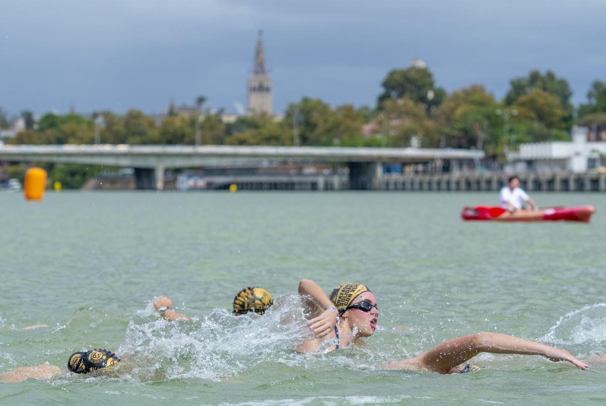 Club Náutico Sevilla tweet media