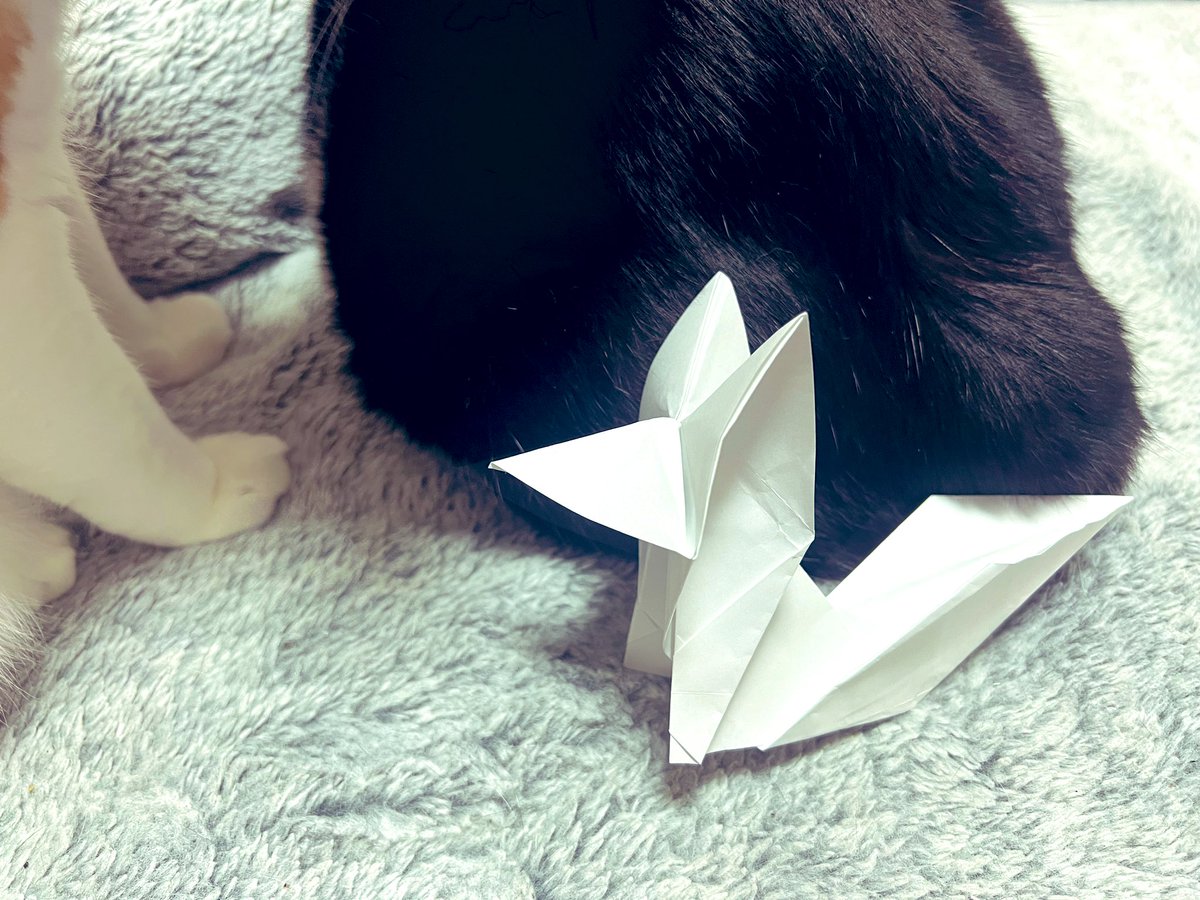 SILENTHILLf #愚痴供養の折り紙 上手く折れなかった(T^T)コン