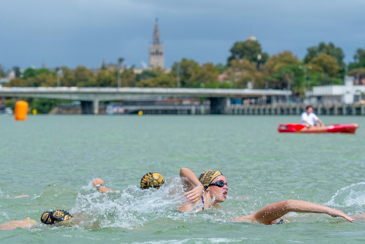 Club Náutico Sevilla tweet media