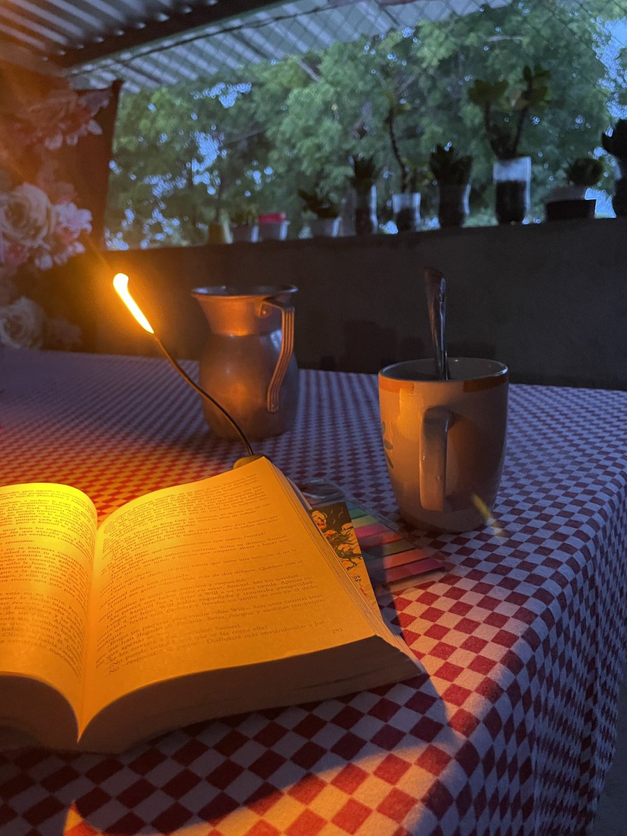 Tuve delirium febril toda la noche, lo cual me hizo madrugar, 4:30 am. Ahora me preparo un té y leo a Steinbeck. Quizás comience a usar este horario para lecturas. En silencio.