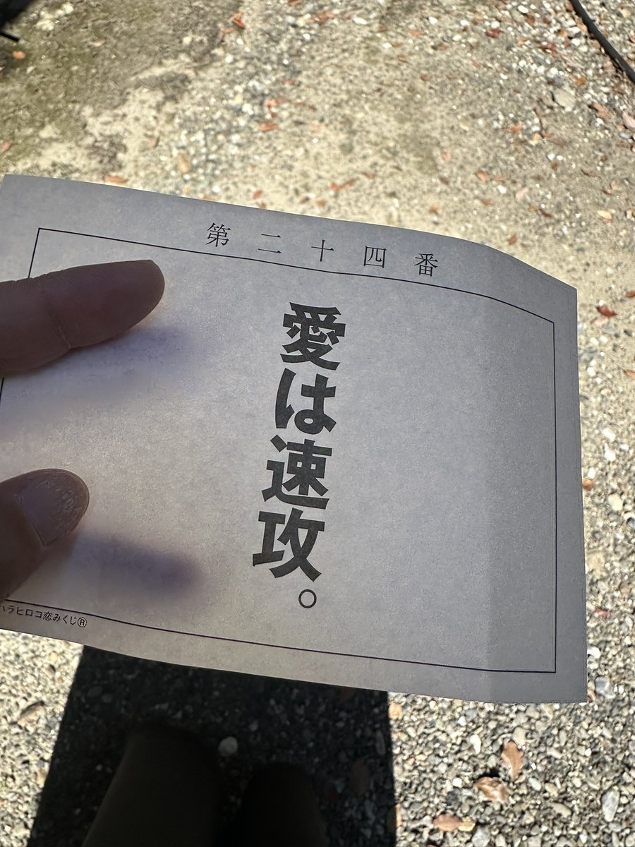 そいえば夫と出会う前に3日前に行った日吉神社で引いた恋みくじがこれだったのをフォルダ見て思い出しました。

#０日婚