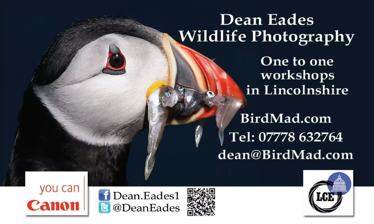 On route to Estonia 
#Estonia <a href="/estonia/">Lauri Liikane</a>
BirdMad.com