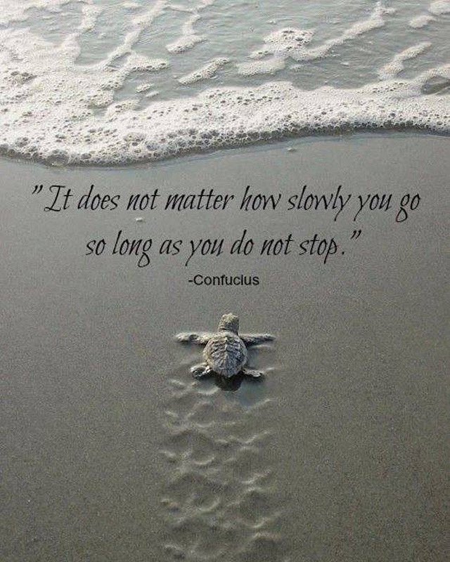 jbharrisbooks's tweet image. Progress isn’t about speed—it’s about persistence. Even the smallest step forward keeps you moving closer to your goals. This week, remember: it doesn’t matter how slowly you go, as long as you don’t give up #MondayMotivation #KeepGoing #ProgressNotPerfection #MindsetMatters #fyp