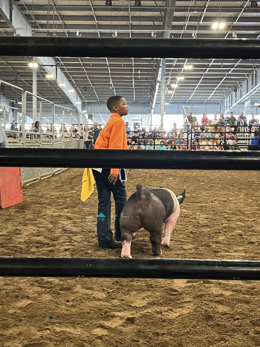Hightower FFA tweet media