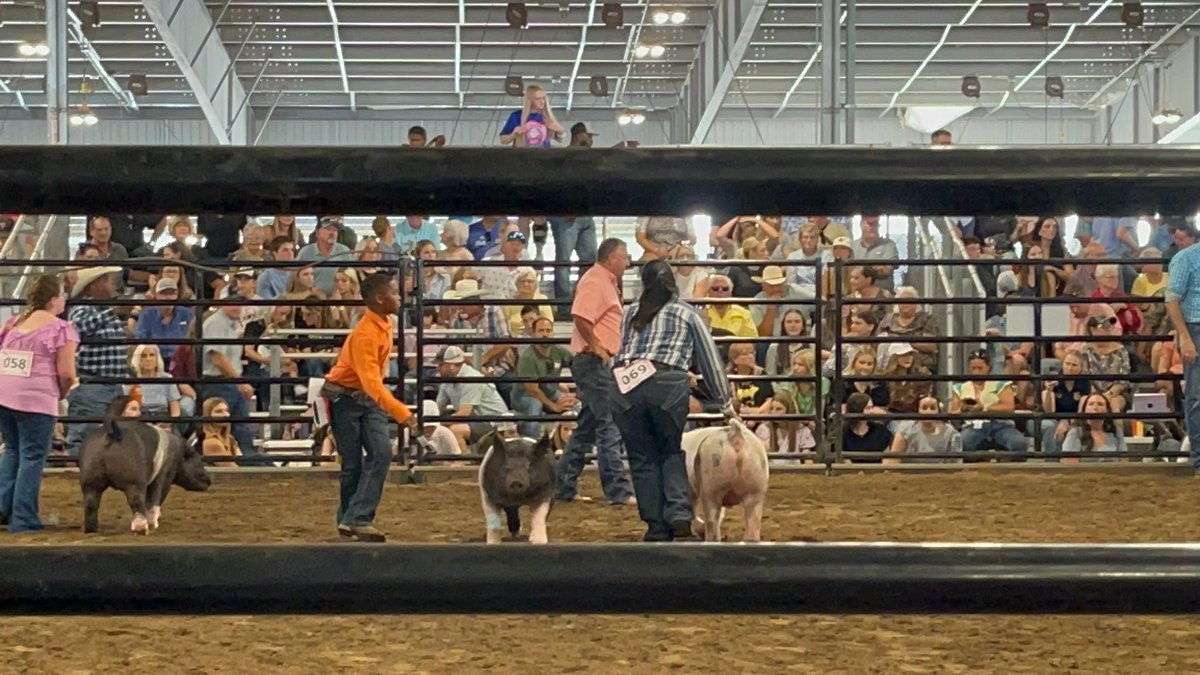 Hightower FFA tweet media