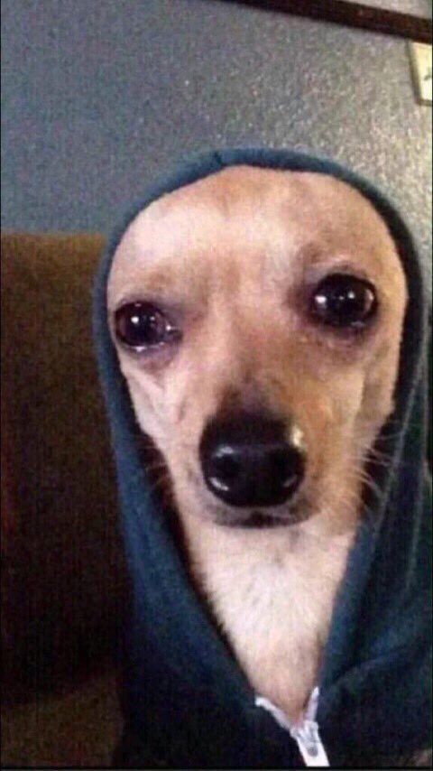 Damilola ❤️‍🔥 tweet media