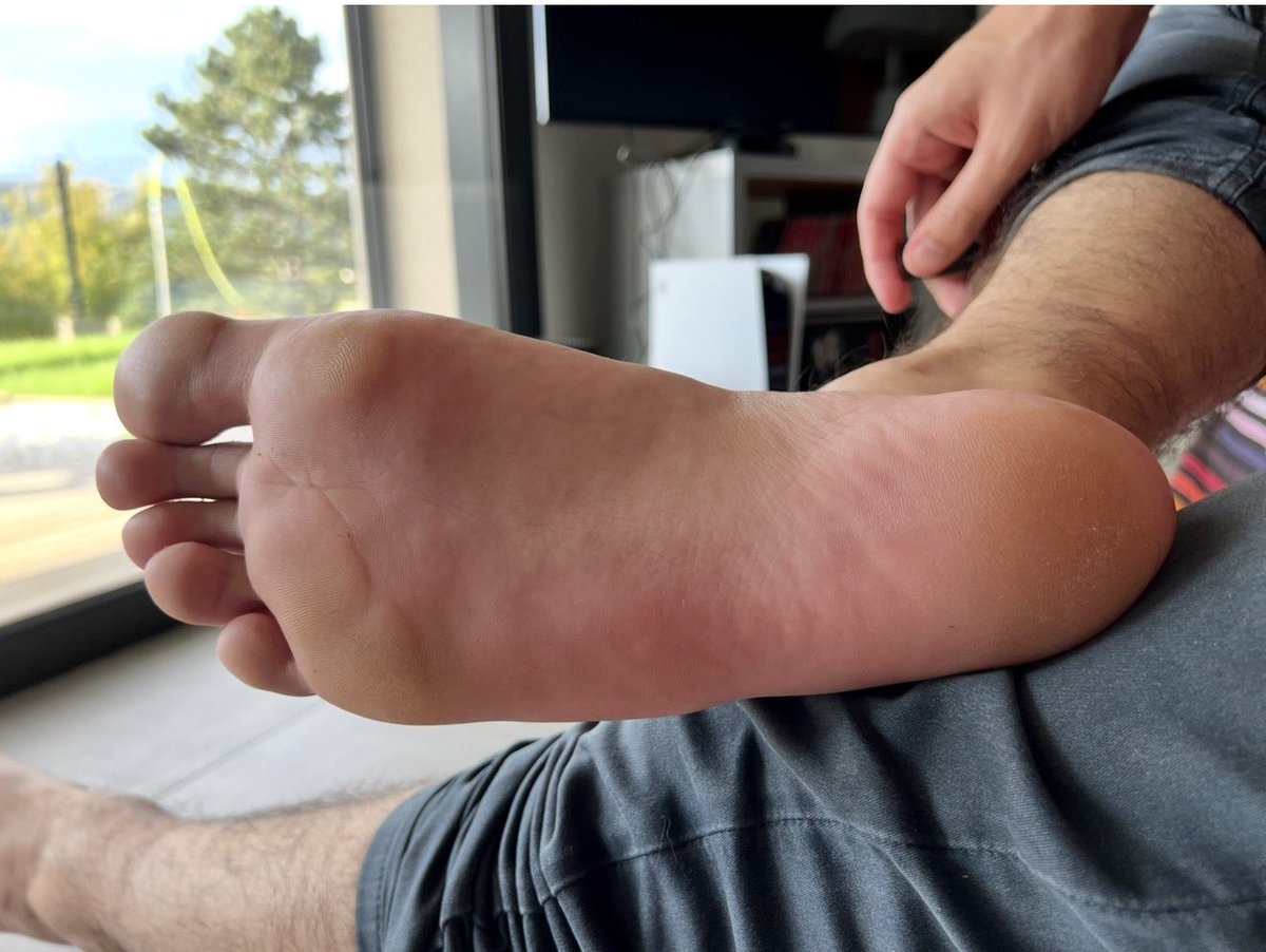 Maitre L tweet media