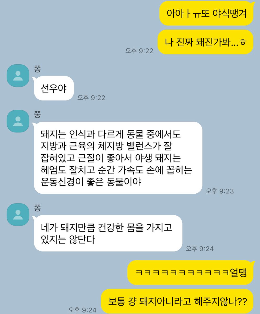 젱선 카피페 tweet media