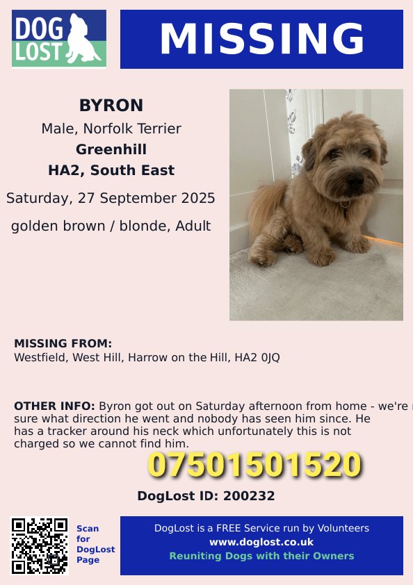 MISSING 

BYRON is missing from home in Westfield, West Hill, Harrow on the Hill #HA2
He got out of gate on Saturday afternoon 27 September 2025 and there has been no sign of him since. 

Has anyone seen him ? Please contact asap if seen.