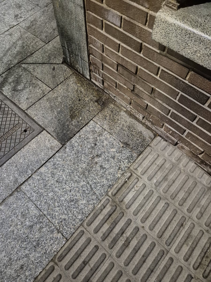 El Orgullo de <a href="/lsfernandeza/">Lucía S. Fernández Alonso</a> <a href="/sansecomunica/">Ayuntamiento de San Sebastián de los Reyes</a> 
Así está la ciudad.
<a href="/IISanse/">Izquierda Independiente Sanse</a> <a href="/VecinosSanSe/">Vecinos por SanSe</a> <a href="/PodemosEnSanse/">Podemos San Sebastián de los Reyes</a> <a href="/mas_sanse/">Más Madrid Sanse</a> <a href="/psoesanse/">PSOE de Sanse /❤️</a>