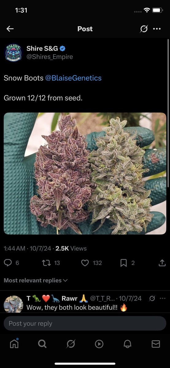 Tweet media one