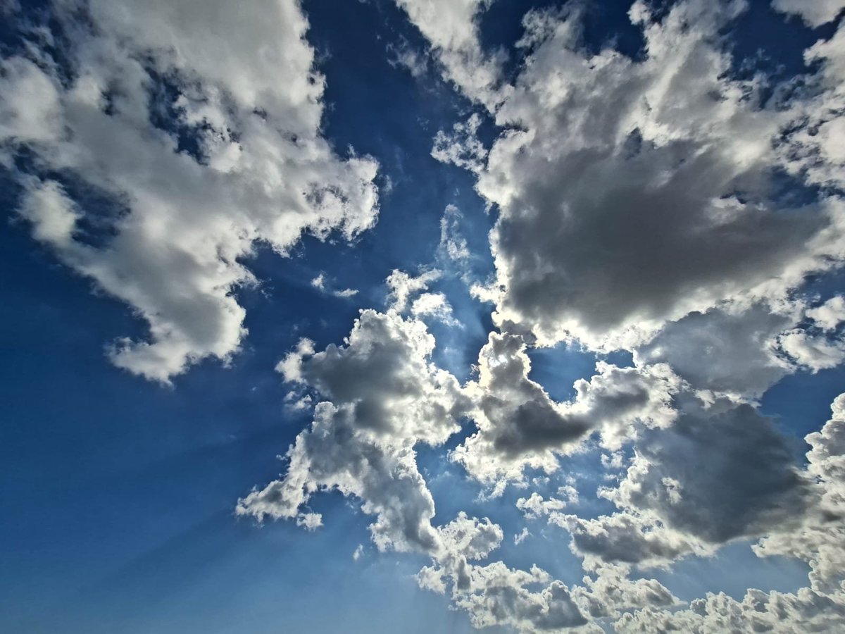 Basterebbe alzare lo sguardo una volta al giorno.