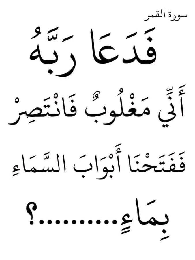 Salma Alashry tweet media