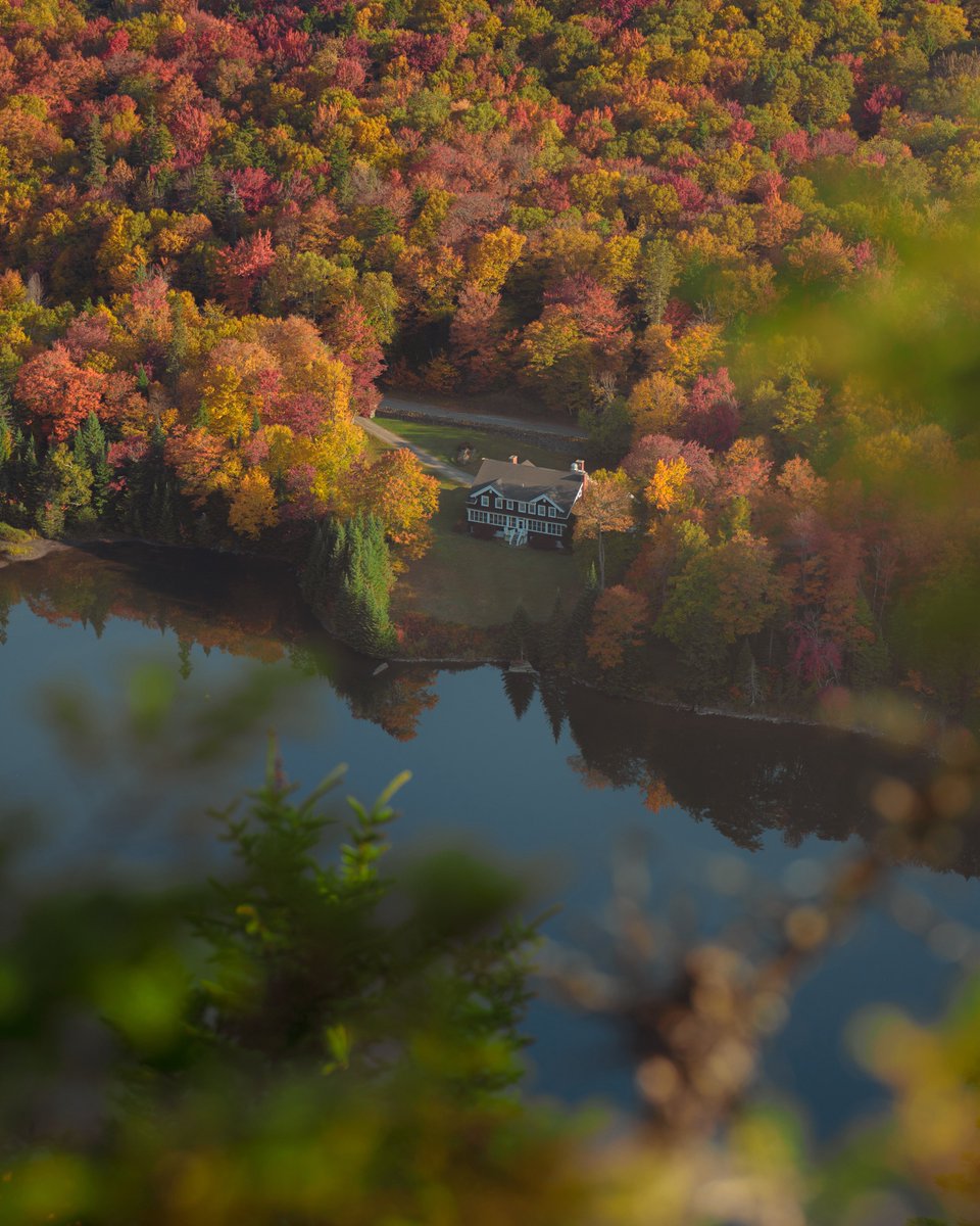 maybe: k*rk tweet media