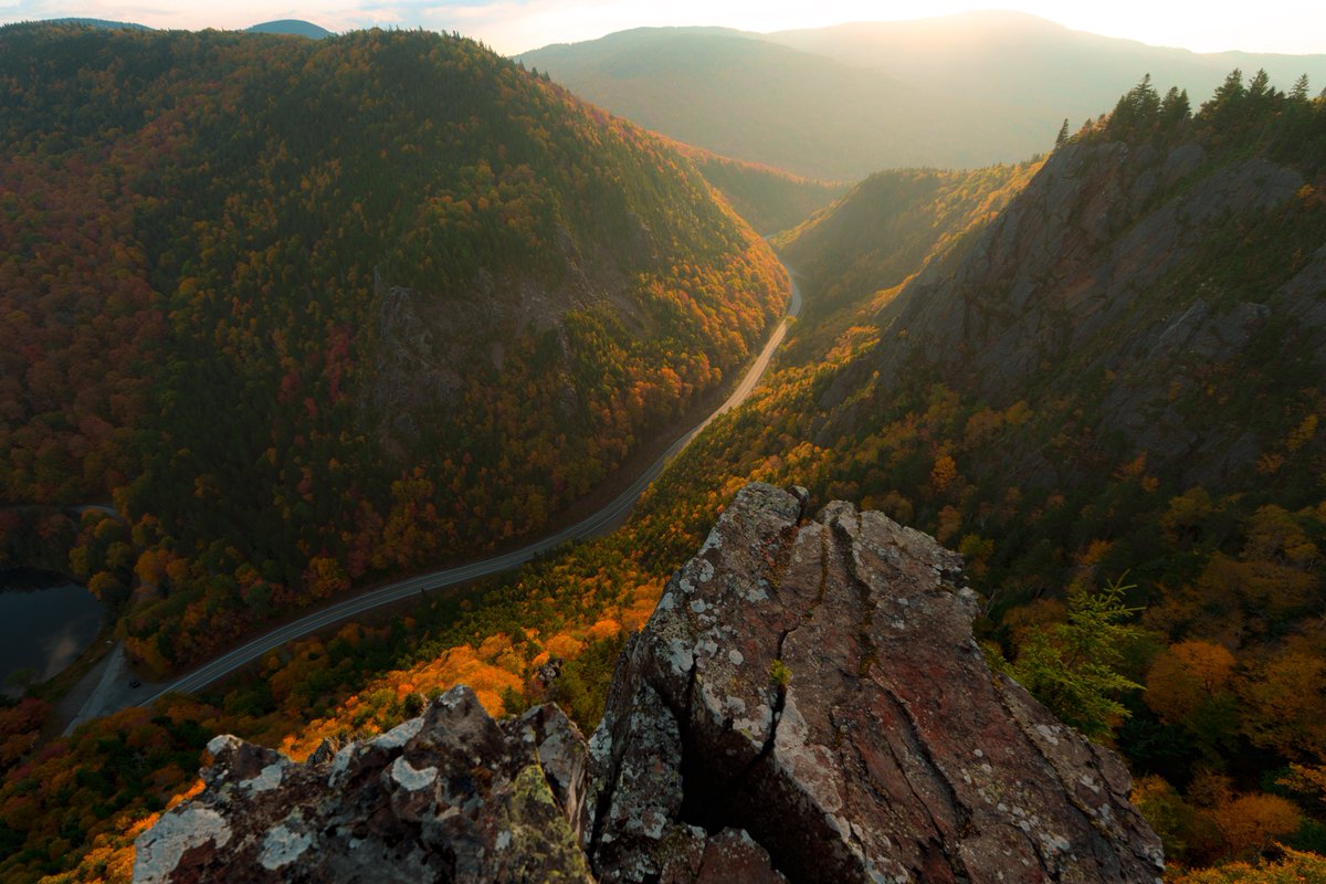 maybe: k*rk tweet media