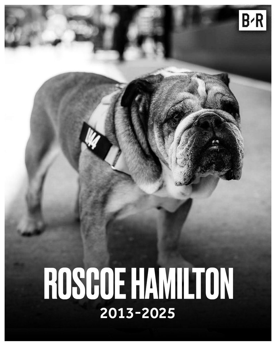 Roscoe, Lewis Hamilton's beloved bulldog, has passed away at 12