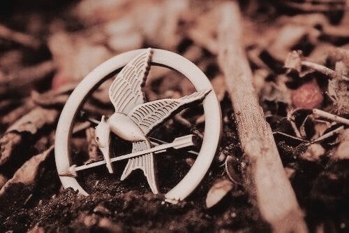 kenz ✴︎ tweet media