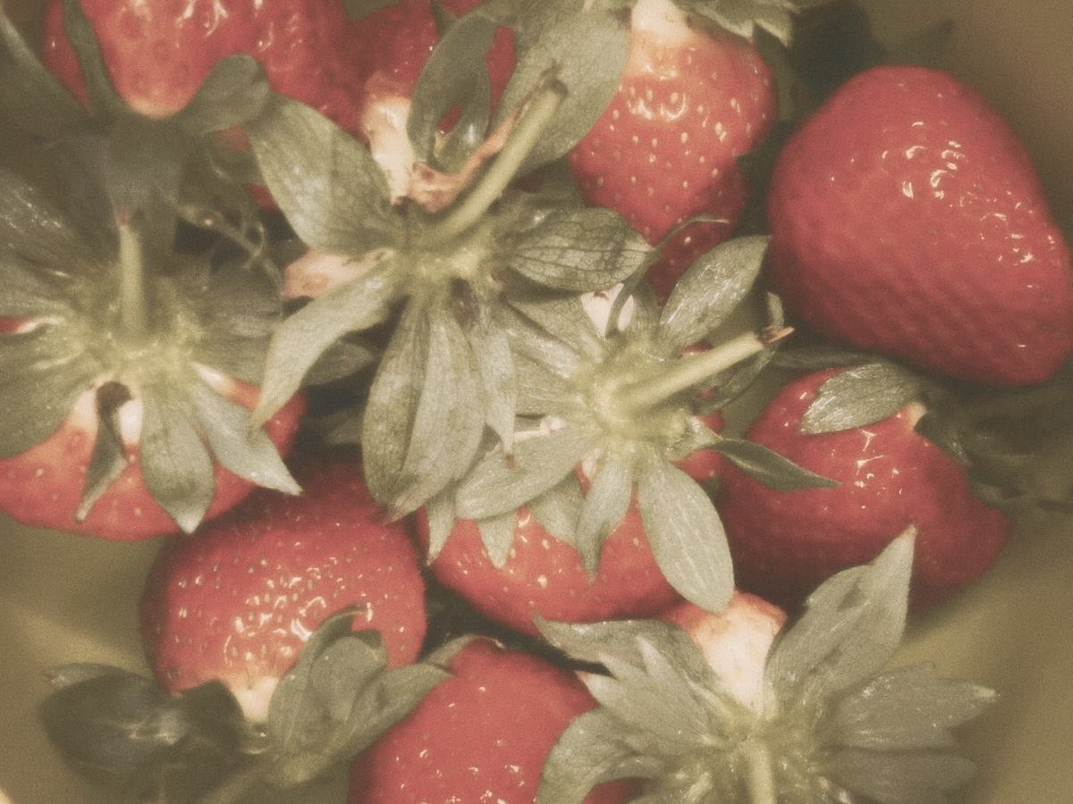 kenz ✴︎ tweet media