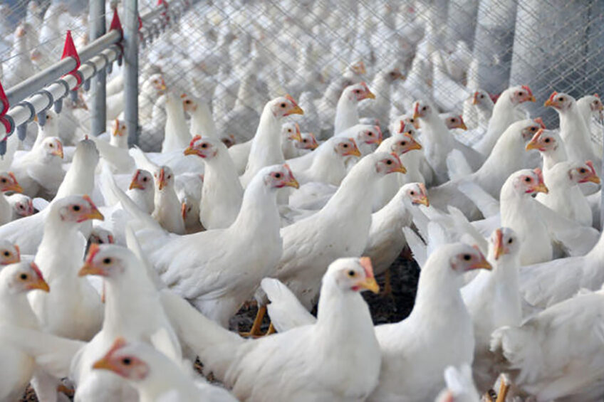 Highly pathogenic avian influenza (H5N1) continues to spread among domestic poultry and wild birds throughout South Africa.
spr.ly/6016A5aCa