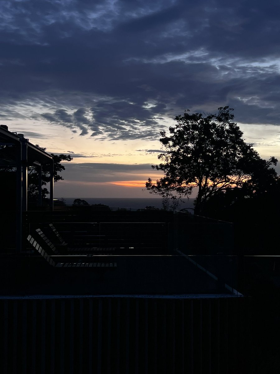 TAMAN (@taman) on Twitter photo 