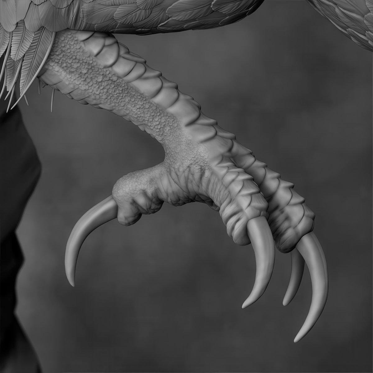 MitsArt3d's tweet photo. How are you, gentlemen artists? And I will share with you #references and images on sculpting #Anatomy #Animals Pack №28 #3d #gamedev #3dart #hand #modeling #3DModel #sculpting #leg #dog #gameart #zbrush #horse #snake #ecorche #sculpture #muscles #chest #ears #neck #cat https://t.co/NooAb8KWiI