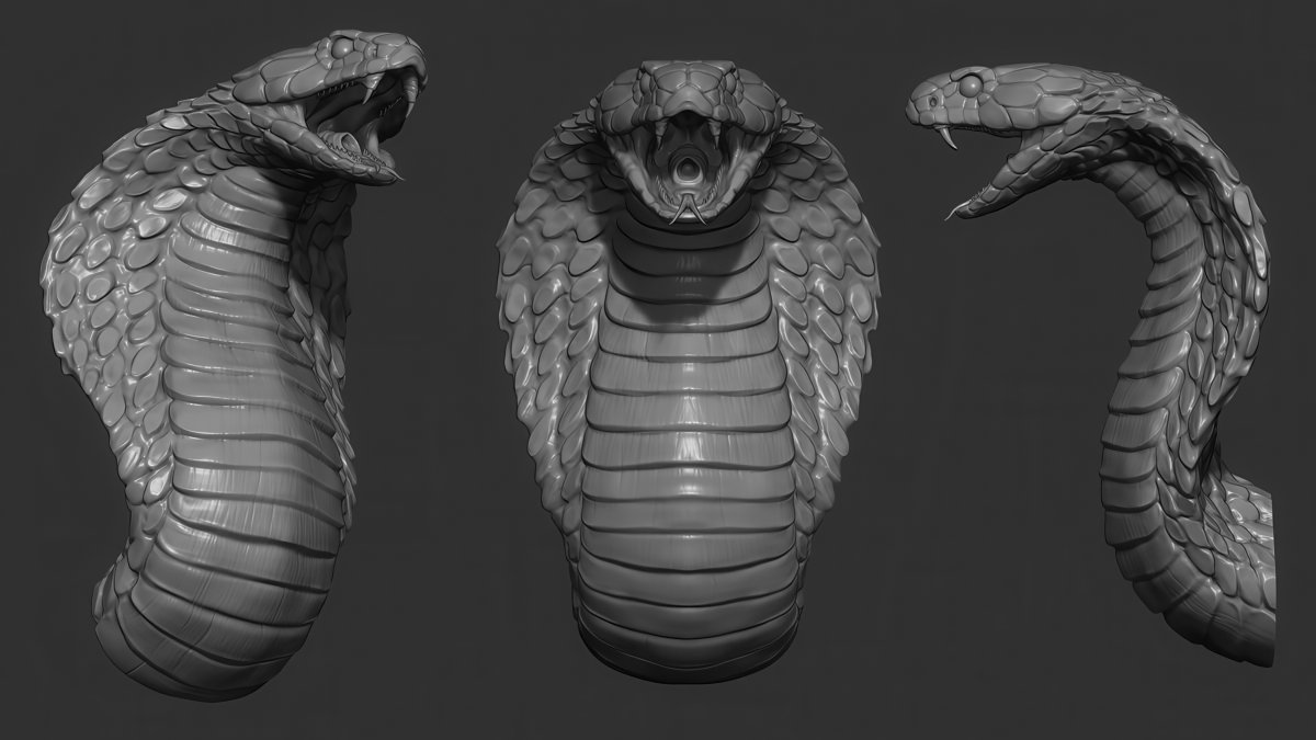MitsArt3d's tweet photo. How are you, gentlemen artists? And I will share with you #references and images on sculpting #Anatomy #Animals Pack №28 #3d #gamedev #3dart #hand #modeling #3DModel #sculpting #leg #dog #gameart #zbrush #horse #snake #ecorche #sculpture #muscles #chest #ears #neck #cat https://t.co/NooAb8KWiI