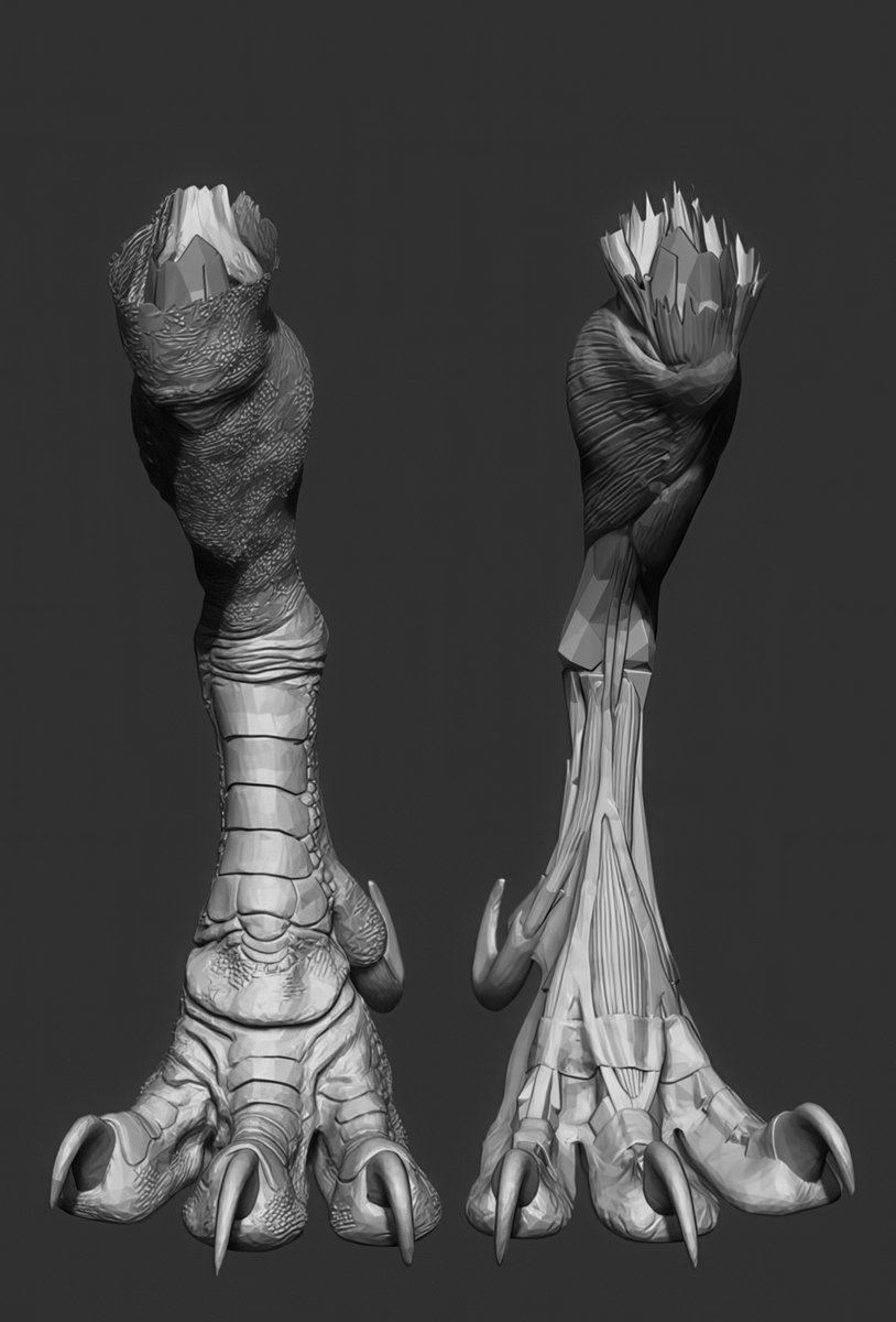 How are you, gentlemen artists? And I will share with you #references and images on sculpting #Anatomy #Animals Pack №28 #3d #gamedev #3dart #hand #modeling #3DModel #sculpting #leg #dog #gameart #zbrush #horse #snake #ecorche #sculpture #muscles #chest #ears #neck #cat