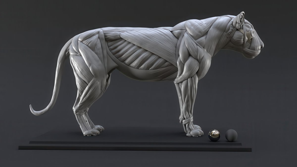 MitsArt3d's tweet photo. How are you, gentlemen artists? And I will share with you #references and images on sculpting #Anatomy #Animals Pack №27 #3d #gamedev #3dart #hand #modeling #3DModel #sculpting #leg #dog #gameart #zbrush #horse #snake #ecorche #sculpture #muscles #chest #ears #neck #cat https://t.co/0JMoxlPizD