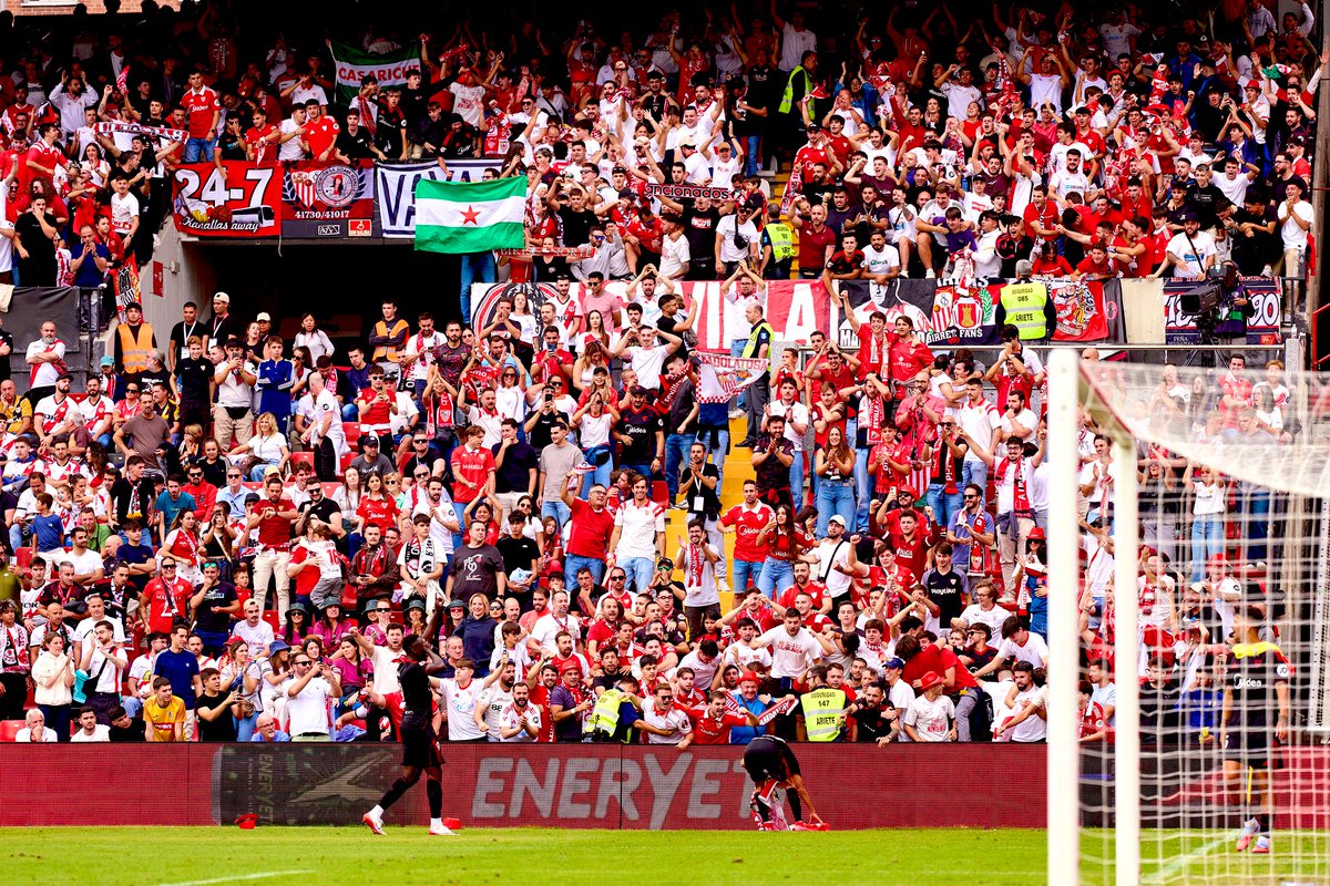Los verdaderos protagonistas.
¡Grande afición! #RayoSevilla