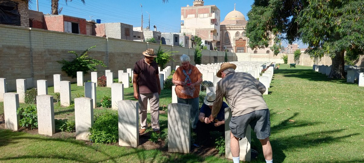 Walid Matrawy@cwgc tweet media