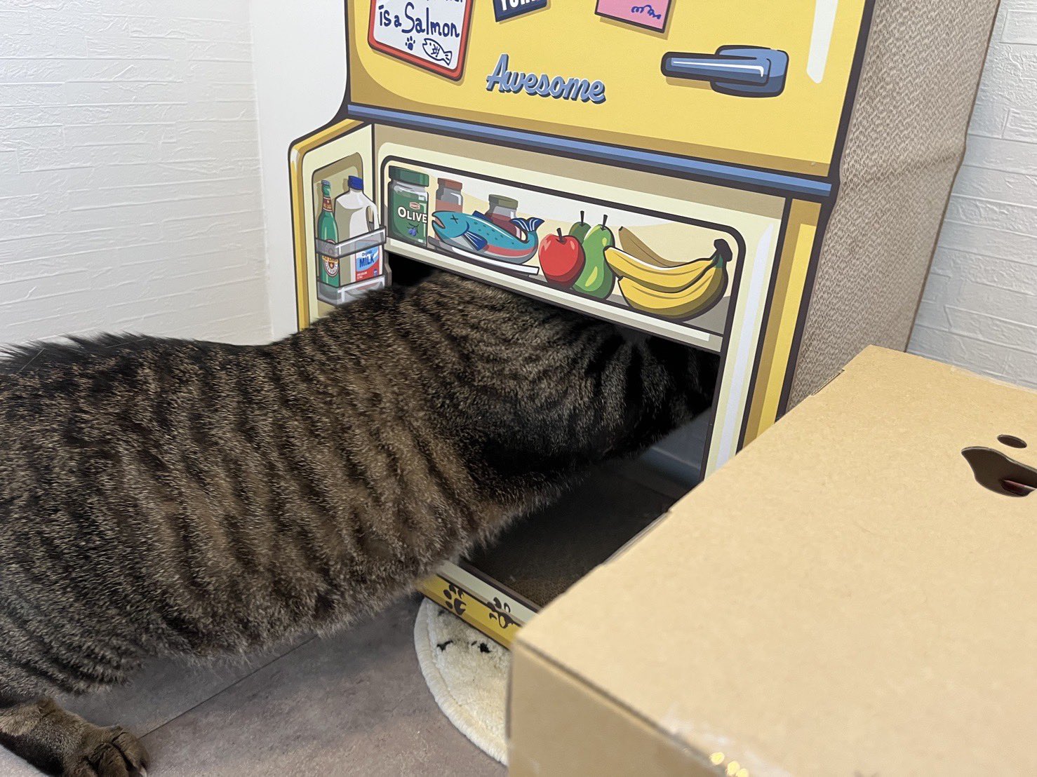 猫さん 仔鹿on X: