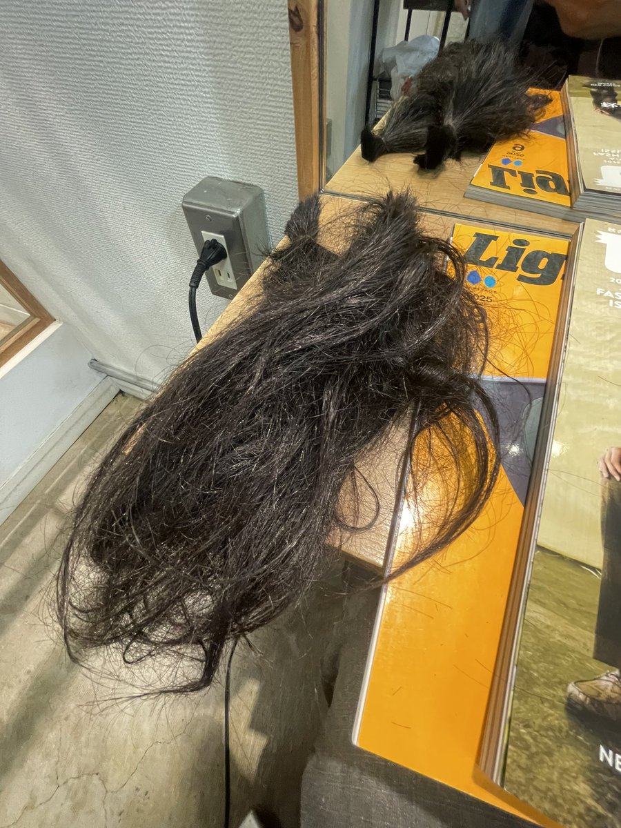 2年半の相棒✂️