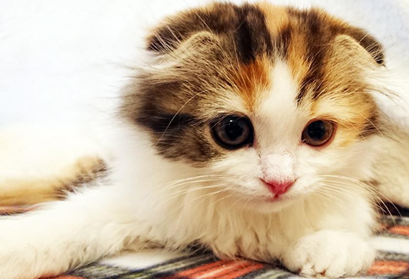 一人で抱え込まないでね！ おはよう、今日という日に感謝！